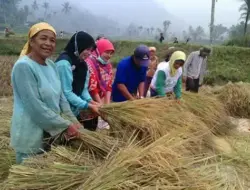 Atasi Kemiskinan Ekstrim, Bupati Limapuluh Kota Minta Program Nagari Sukseskan Ketahanan Pangan