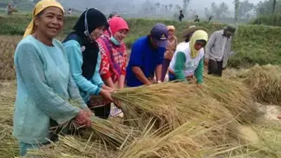 Atasi Kemiskinan Ekstrim, Bupati Limapuluh Kota Minta Program Nagari Sukseskan Ketahanan Pangan