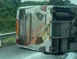 Bus Miyor Padang-Jakarta Kecelakaan di Tol Kayuagung Sumsel, Sopir Tewas Terjepit!