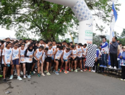 Diikuti Ribuan Peserta, Bakanti dan Bank Nagari Sukses Gelar Marathon Lintau Wisata 10K