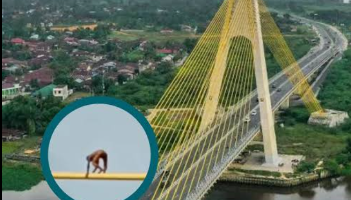 Bukan ODGJ, Ternyata Pria Pemanjat Jembatan Siak IV di Pekanbaru Stres Karena Diomeli Istri