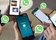 Dikira Sinyal HP yang Salah, Ternyata WhatsApp yang Down di Indonesia