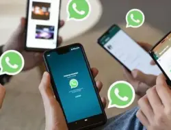 Dikira Sinyal HP yang Salah, Ternyata WhatsApp yang Down di Indonesia