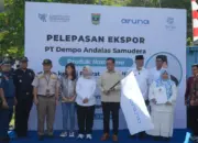 Sukses Kirim Ikan Tuna ke UEA, Sumbar Langsung dapat Tawaran Ekspor ke Tunisia