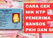 Cara Cek NIK KTP Penerima Bansos PKH dan BPNT Tahap 2 Tahun 2025! Cair Mei-Juni