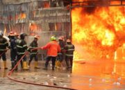 Kebakaran Reda, 22 Mobil Damkar dari 9 Daerah Berjibaku Padamkan Api di Pabrik Karet PT Teluk Luas