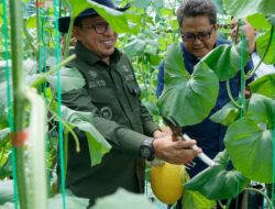 Kepala Perwakilan BI Sumbar Kunjungi Sentra Pertanian dan IKM Holtikultura Tanah Datar