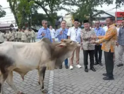 Perumda AM Kota Padang Bagikan 88 Ekor Hewan Kurban ke Masjid dan Mushalla