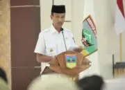 Cegah Kongkalingkong! Penerimaan Siswa Baru di Solok Selatan Murni Online Lewat Aplikasi “Sipembidik”