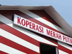 Tanah Datar Rampungkan Pendirian Koperasi Merah Putih di Seluruh Nagari