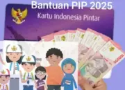 Mudah dan Cepat! Berikut Cara Cek Penerima Bantuan PIP 2025 Online Lewat HP