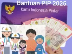 Mudah dan Cepat! Berikut Cara Cek Penerima Bantuan PIP 2025 Online Lewat HP