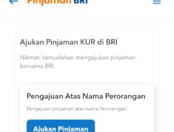 Bisa Online Lewat HP! Berikut Link Langkah Cepat Cairkan KUR Rp10-500 Juta dari BRI