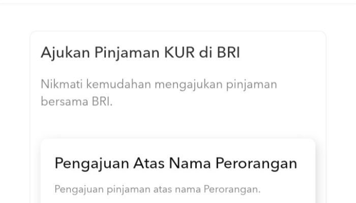 Bisa Online Lewat HP! Berikut Link Langkah Cepat Cairkan KUR Rp10-500 Juta dari BRI