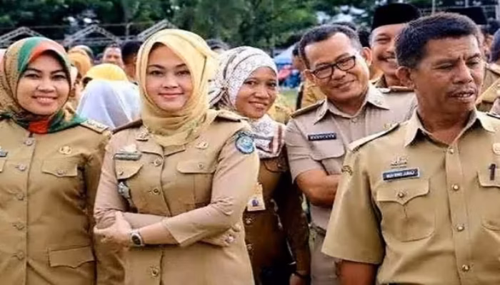 Peraturan Pemerintah Terbaru, Batas Usia Pensiun ASN Mulai dari 58 Hingga 70 Tahun