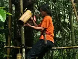 Pertamina NRE Kembangkan Potensi Aren untuk Tingkatkan Produksi Bioetanol Indonesia 