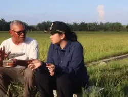 Bupati Annisa Kunjungi Pertanian, BUMNag dan Tampung Aspirasi Warga Sungai Duo dan Sipangkur