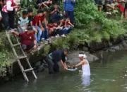 Festival Hoyak Tabuik Piaman 2025 Dimulai! Acara Diawali “Maambiak Tanah” di Dua Lokasi