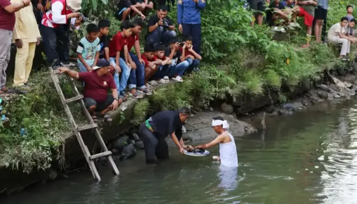 Festival Hoyak Tabuik Piaman 2025 Dimulai! Acara Diawali “Maambiak Tanah” di Dua Lokasi