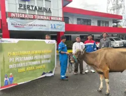 Pertamina Salurkan Lebih 3.886 Hewan Kurban ke Seluruh Pelosok Negeri
