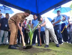 PLN UID Sumbar Hijaukan Pangkalan TNI AU Sutan Sjahrir dengan 500 Pohon Kelapa Hybrida