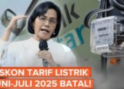 BREAKINGNEWS! Pemerintah Batal Beri Diskon Listrik 50% Juni-Juli