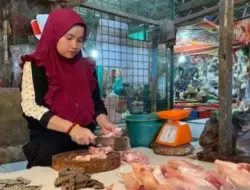 Jelang Lebaran Tak Bisa Ditawar! Usai Kurban, Harga Ayam Potong Melorot Drastis
