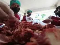 Awas Bahaya! Ini Pesan Penting Dinkes Padang saat Mengkonsumsi Daging Kurban