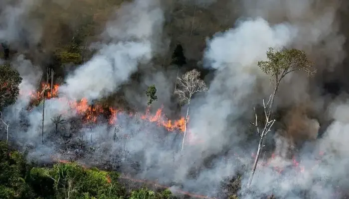 16 Nagari Dikepung Api, Kebakaran Hutan Terancam Meluas di Limapuluh Kota
