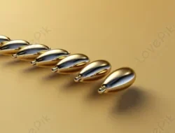 12 Pin Emas Disiapkan untuk Tokoh Masyarakat Berjasa Bangun Kota Padang