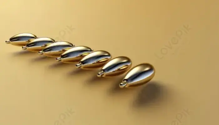 12 Pin Emas Disiapkan untuk Tokoh Masyarakat Berjasa Bangun Kota Padang