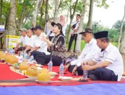 Dharmasraya Luncurkan Sawah Pokok Murah, Bupati Annisa Siapkan Rice Milling Modern
