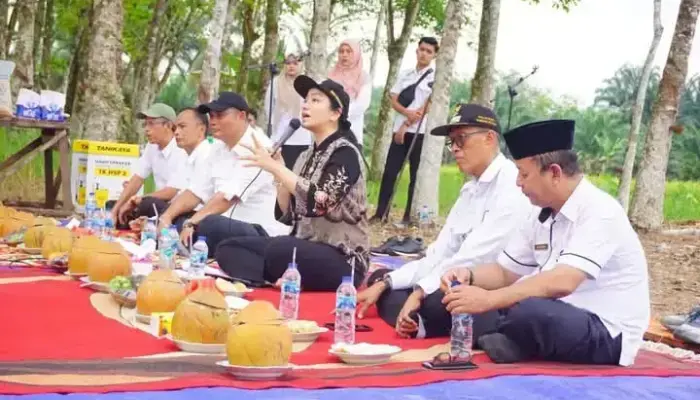 Dharmasraya Luncurkan Sawah Pokok Murah, Bupati Annisa Siapkan Rice Milling Modern