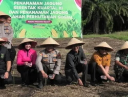 Dukung Swasembada Pangan, Polres Pasaman Barat Tanam Jagung di Lahan 250 Hektar