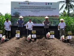 Sinergi Polda, Pemda dan Paten Mekar Tani Olah Lahan Tidur Jadi Kebun Jagung Super Luas di Sumbar