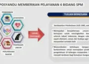 Ini 6 Bidang SPM Posyandu yang Sangat Vital  Bagi Masyarakat Nagari
