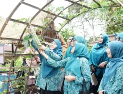 Tim Penilai Provinsi Takjum dengan Karya TP PKK Nagari Tanjung Bonai Tanah Datar