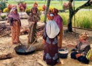 Nagari Toboh Gadang Percontohan, Program NCH Dorong UMKM Lokal Go Nasional