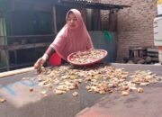 Warga Pasie Nan Tigo Padang Sulap Kulit Hiu Jadi Kerupuk Cemilan, Rasanya Sungguh Enak!