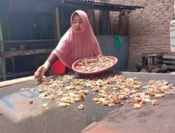 Warga Pasie Nan Tigo Padang Sulap Kulit Hiu Jadi Kerupuk Cemilan, Rasanya Sungguh Enak!