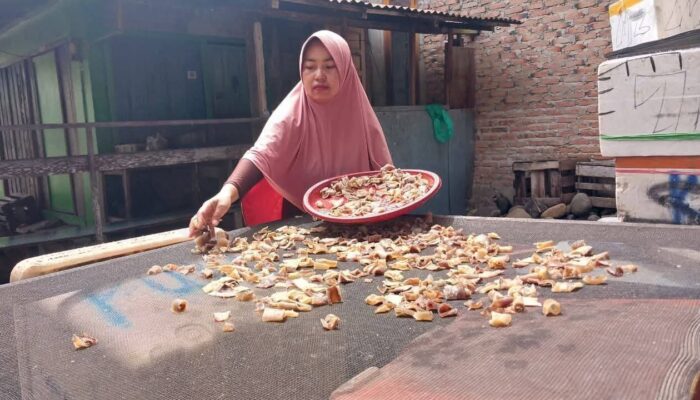 Warga Pasie Nan Tigo Padang Sulap Kulit Hiu Jadi Kerupuk Cemilan, Rasanya Sungguh Enak!