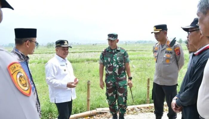 Ini Penyebab Lahan Pertanian di Ampek Angkek Agam Terpaksa Alih Fungsi