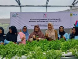 Srikandi PLN P3B Sumatera Bantu Rumah Hidroponik KWT Kemuning Indah Nanggalo Padang