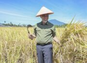 Membangun “Citra Petani” untuk Generasi Emas Sumatera Barat