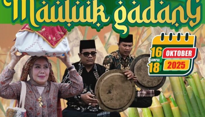 Beragam Tradisi Khas Daerah Bakal Meriahkan Acara Padang Pariaman Mauluik Gadang 2025