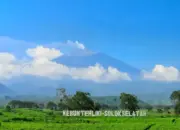 Jatah Daerah Dipotong Pusat, Solok Selatan Lirik Investor dengan Kemudahan Izin Investasi