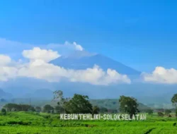 Jatah Daerah Dipotong Pusat, Solok Selatan Lirik Investor dengan Kemudahan Izin Investasi