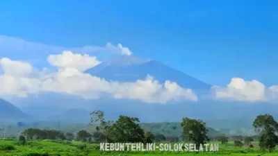 Jatah Daerah Dipotong Pusat, Solok Selatan Lirik Investor dengan Kemudahan Izin Investasi