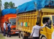 Pantas Jalan Cepat Rusak! Rerata Truk Sawit di Dharmasraya Bermuatan Lebihi Tonase