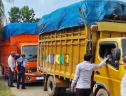 Pantas Jalan Cepat Rusak! Rerata Truk Sawit di Dharmasraya Bermuatan Lebihi Tonase